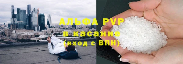 ECSTASY Белокуриха