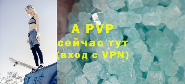 ECSTASY Белокуриха