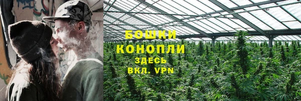 ECSTASY Белокуриха
