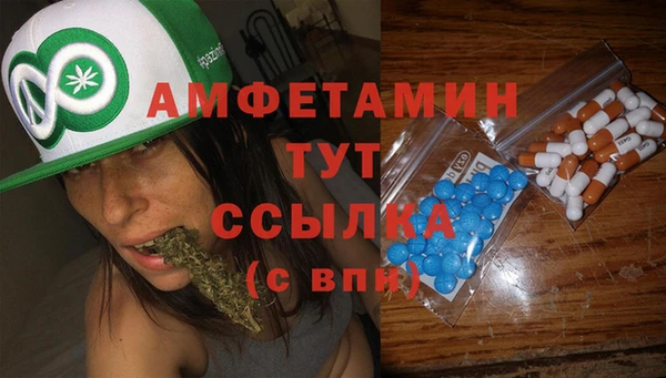ECSTASY Белокуриха