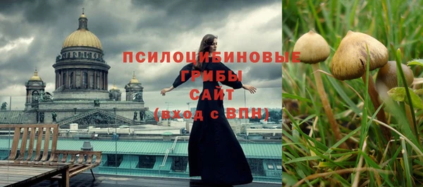 ECSTASY Белокуриха