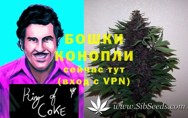 дурь Белоозёрский