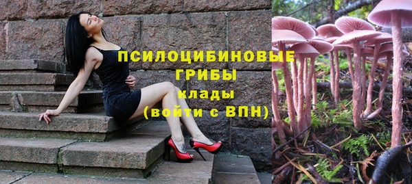 дурь Белоозёрский